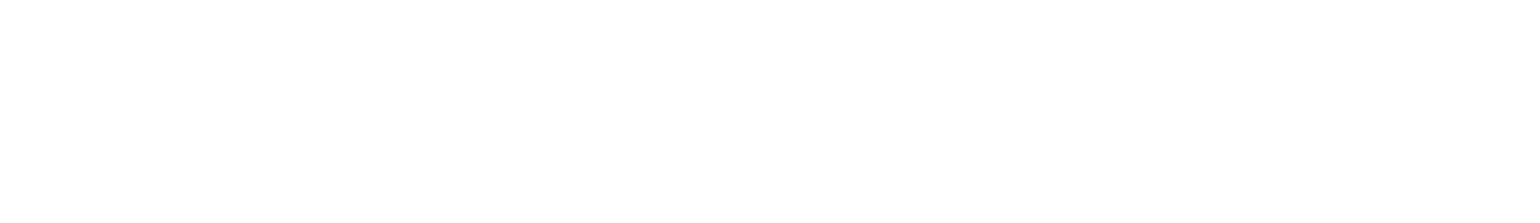 ČT logo šířkové bílé